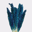 Cantal Grass Bunch - Blue - SHAMTAM.COM