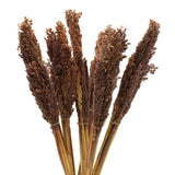 Cantal Grass Bunch - Chocolate - SHAMTAM.COM