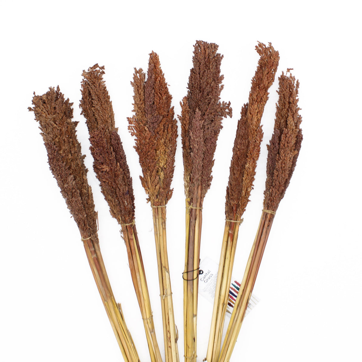 Cantal Grass Bunch - Chocolate - SHAMTAM.COM