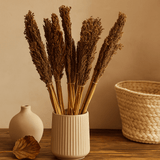 Cantal Grass Bunch Chocolate - Set of 6 - SHAMTAM.COM