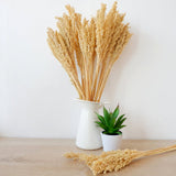 Cantal Grass Bunch - Natural - SHAMTAM.COM