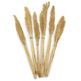 Cantal Grass Bunch - Natural - SHAMTAM.COM