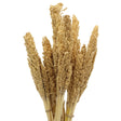 Cantal Grass Bunch - Natural - SHAMTAM.COM