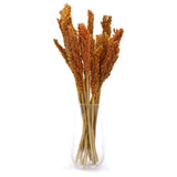 Cantal Grass Bunch - Orange - SHAMTAM.COM