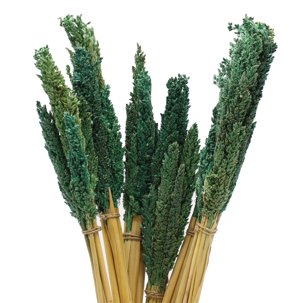 Cantal Grass Bunch - Teal - SHAMTAM.COM