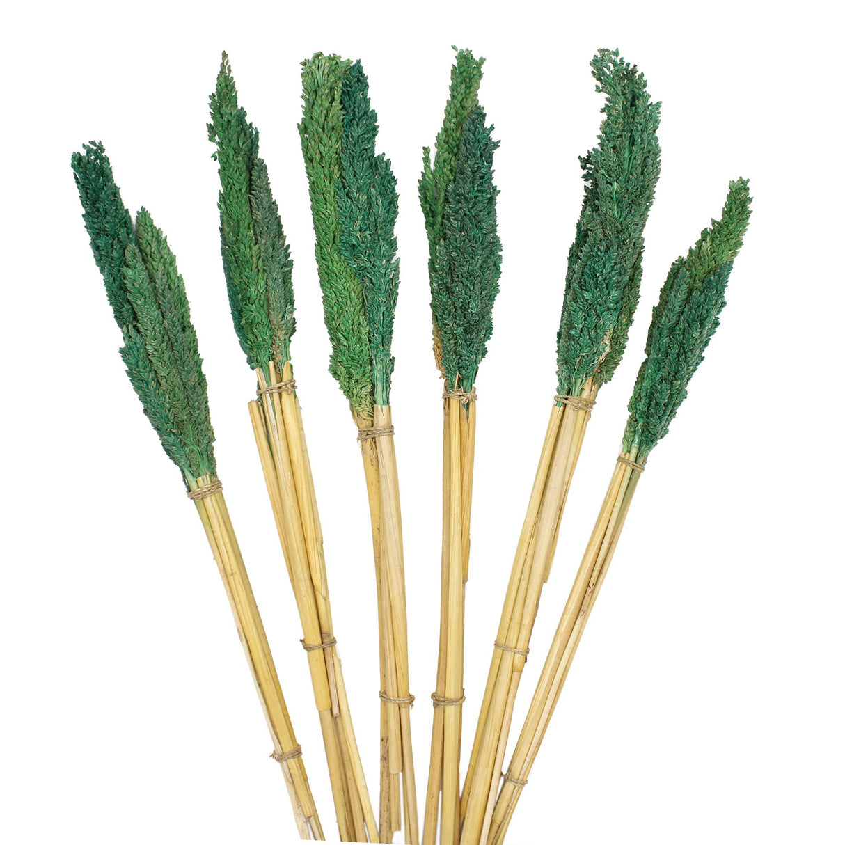 Cantal Grass Bunch - Teal - SHAMTAM.COM