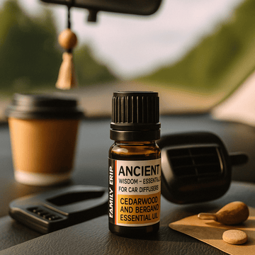 Bil diffuser æterisk olieblanding, familietur 10 ml