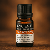 Carrot Seed Essential Oil 10 ml - SHAMTAM.COM