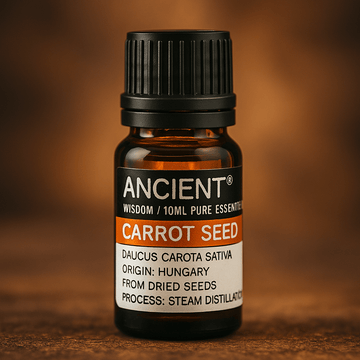 Carrot Seed Essential Oil Steam Distilled 10 ml