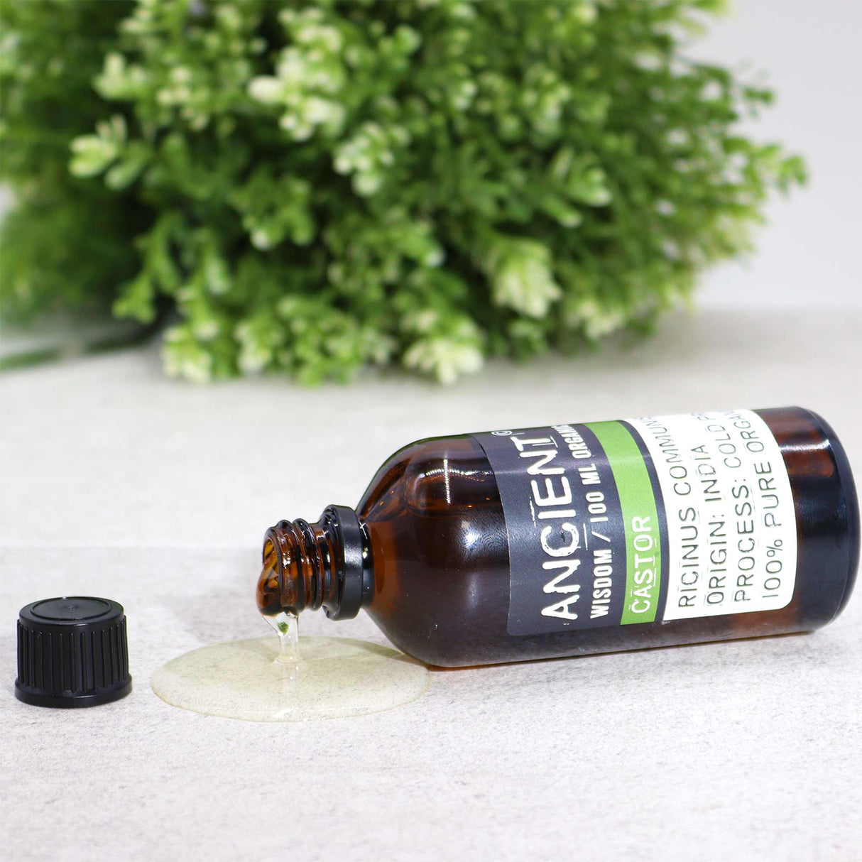 Castor Base Oil Organic 100ml - SHAMTAM.COM