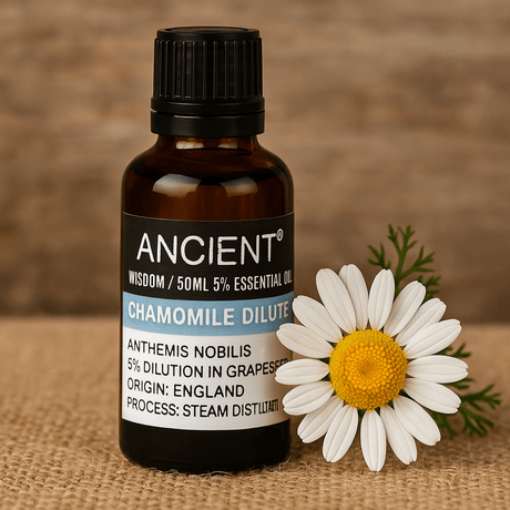 Chamomile Essential Oil Dilute 50ml - SHAMTAM.COM