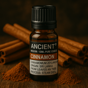 Cinnamon Essential Oil 10 ml - SHAMTAM.COM