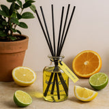 Citrus Reed Diffuser 140ml - SHAMTAM.COM