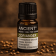 Coriander Seed Essential Oil 10 ml - SHAMTAM.COM