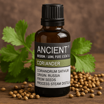 Coriander Seed Essential Oil, Steam Distilled 50ml