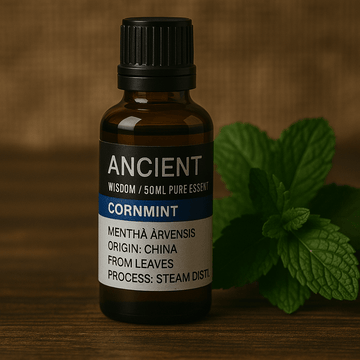 Majsmynte æterisk olie 50ml dampdestilleret