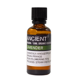 Lavender Essential Oil Organic 50ml
