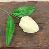 Craft Soap Flower - Med Tulip - Ivory - SHAMTAM.COM