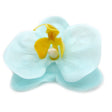 Craft Soap Flower - Paeonia - Blue - SHAMTAM.COM