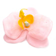 Craft Soap Flower - Paeonia - Pink - SHAMTAM.COM