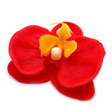 Craft Soap Flower - Paeonia - Red - SHAMTAM.COM