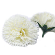 Craft Soap Flowers - Carnations - Cream - SHAMTAM.COM