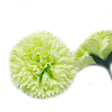 Craft Soap Flowers - Carnations - Lime - SHAMTAM.COM