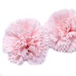 Craft Soap Flowers - Carnations - Pink - SHAMTAM.COM