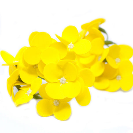 Craft Soap Flowers - Hyacinth Bean - Yellow - SHAMTAM.COM