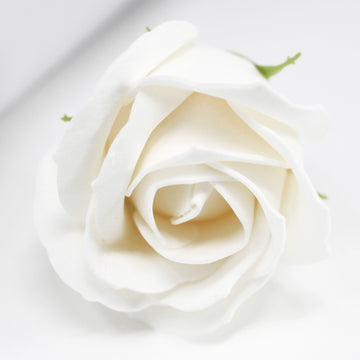 Craft Soap Flowers Medium Rose White, 10 Pack