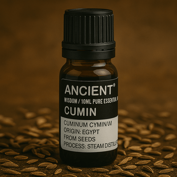 Cumin Seed Essential Oil, 10 mL