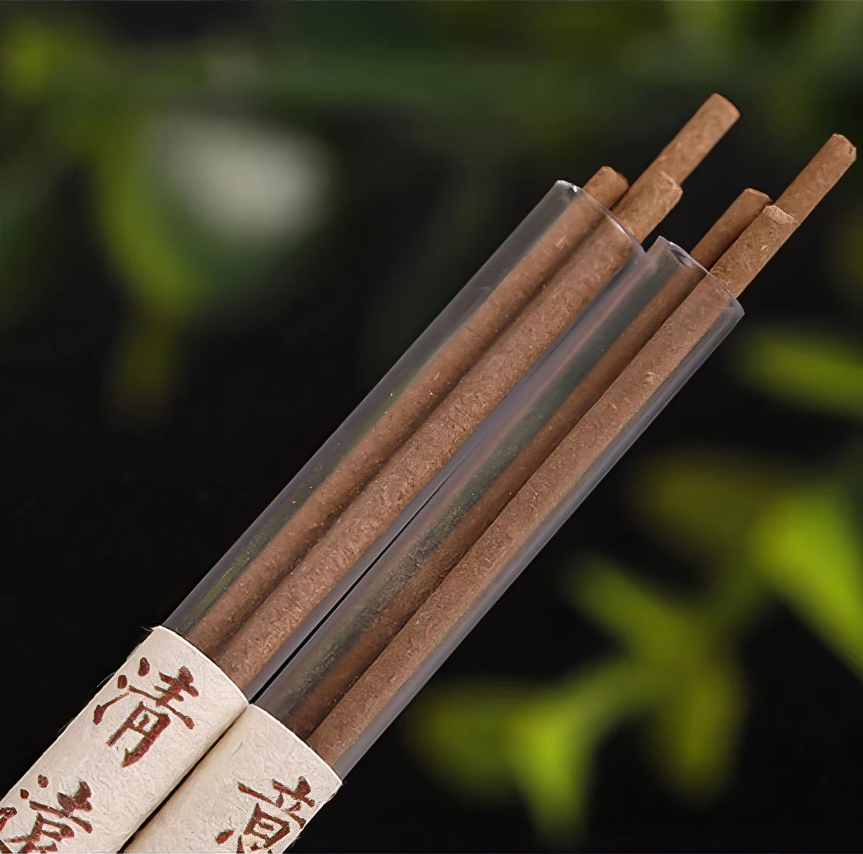 Cypress Chinese Incense Sticks - SHAMTAM