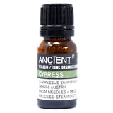 Cypress Organic Essential Oil 10ml - SHAMTAM.COM