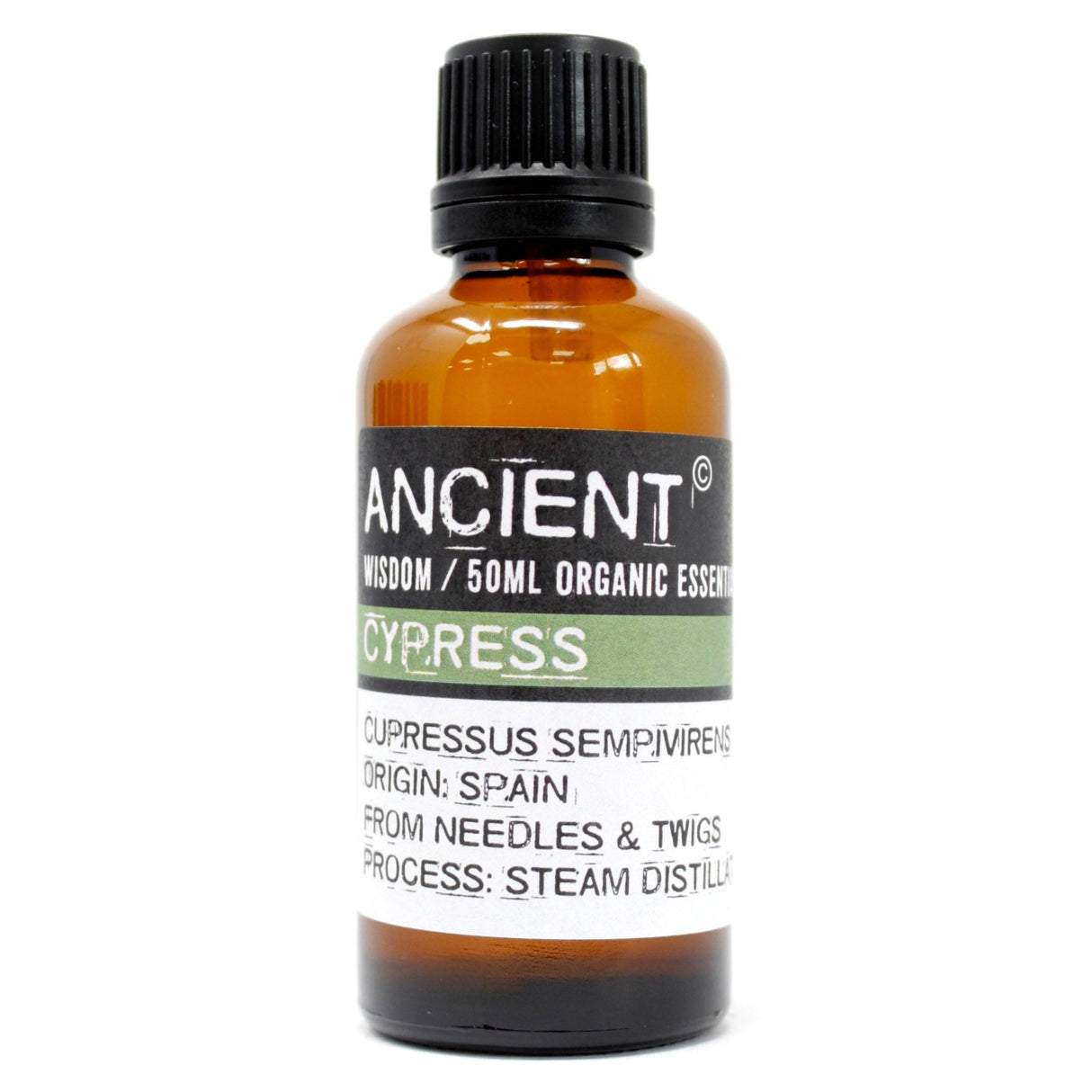 Cypress Organic Essential Oil 50ml - SHAMTAM.COM