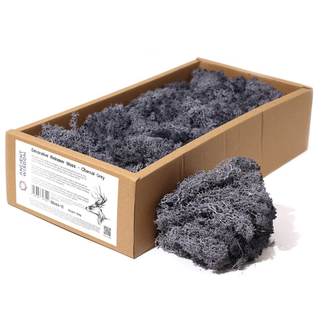 Decoration Reindeer Moss - Charcoal Grey - (approx 500gm) - SHAMTAM.COM