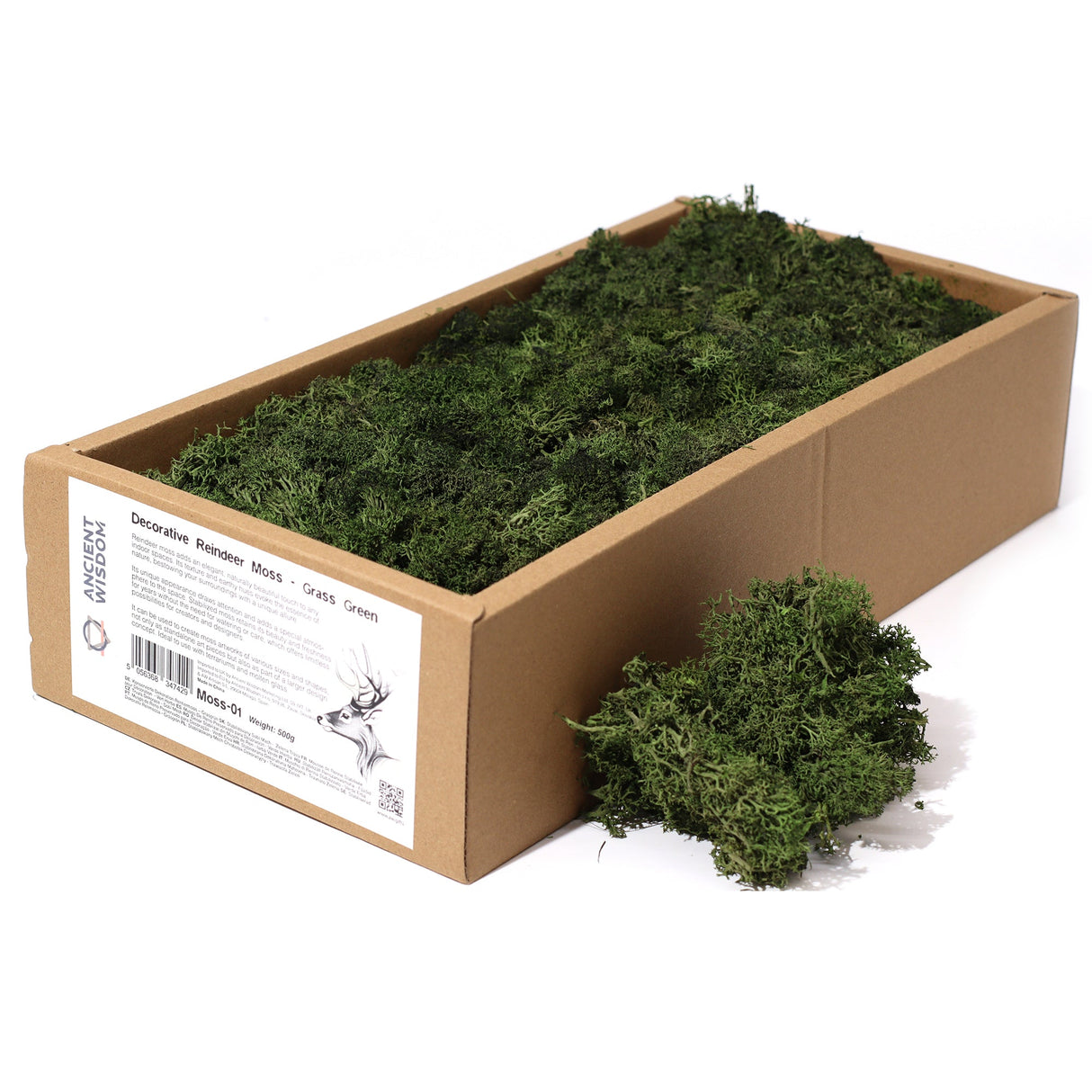 Decoration Reindeer Moss - Grass Green - (approx 500gm) - SHAMTAM.COM