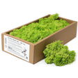 Decoration Reindeer Moss - Light Grass - (approx 500gm) - SHAMTAM.COM