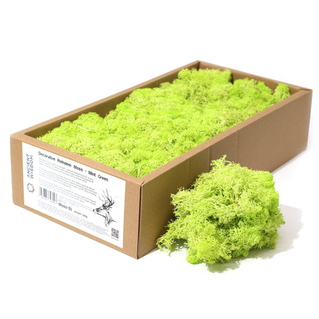 Decoration Reindeer Moss - Mint Green - (approx 500gm) - SHAMTAM.COM