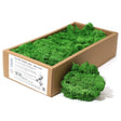 Decoration Reindeer Moss - Moss Green - (approx 500gm) - SHAMTAM.COM