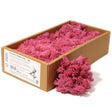 Decoration Reindeer Moss - Pink - (approx 500gm) - SHAMTAM.COM