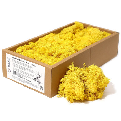 Decoration Reindeer Moss - Yellow - (approx 500gm) - SHAMTAM.COM