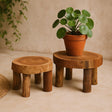 Two wooden stools with a potted plant on a beige background