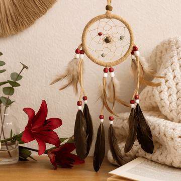 Dream Catchers Medium Round Cream Coffee Chocolate 6-Pack