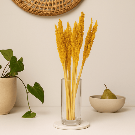 Dried Cantal Grass Bunch Amber Set of 6 - SHAMTAM.COM