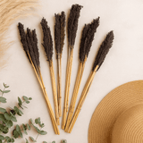 Dried Cantal Grass Bunch Black 6 Pieces - SHAMTAM.COM