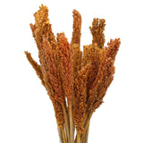 Cantal Grass Bunch - Orange - SHAMTAM.COM