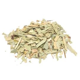 Dried Eucalyptus Cut Leaf 1 kg - SHAMTAM.COM