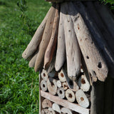 Driftwood Bee & Insect Highrise Box - SHAMTAM.COM