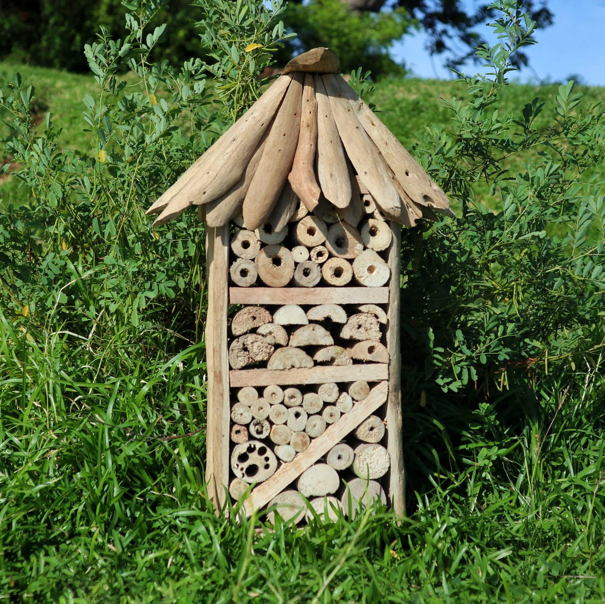 Driftwood Bee & Insect Highrise Box - SHAMTAM.COM