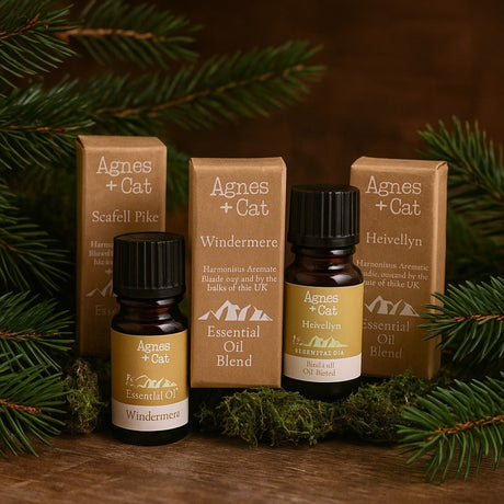 Essential Oil Blends Forest Retreat Agnes and Cat - SHAMTAM.COM